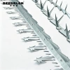 Leidelong fence spike nail, boundary barrier spike nail strip, hot-dip galvanized stainless steel factory area wall top protection spike nail Application Scenario